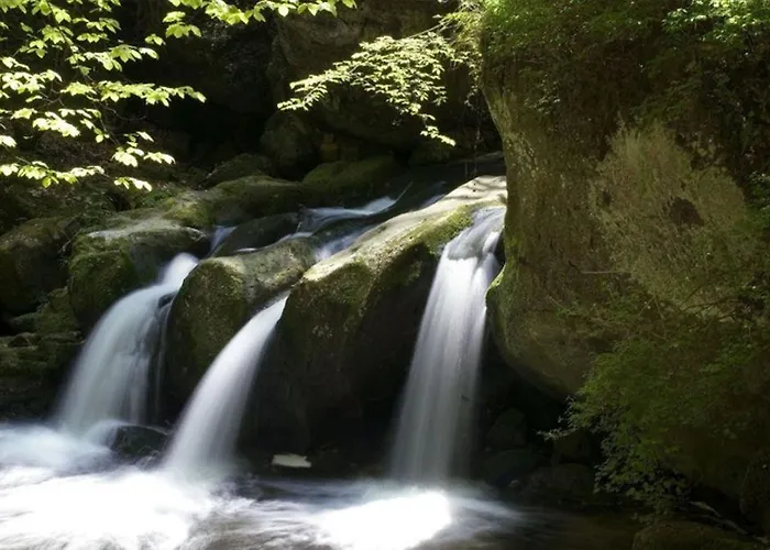 アパートホテル Meyer Appartments ボーフォール