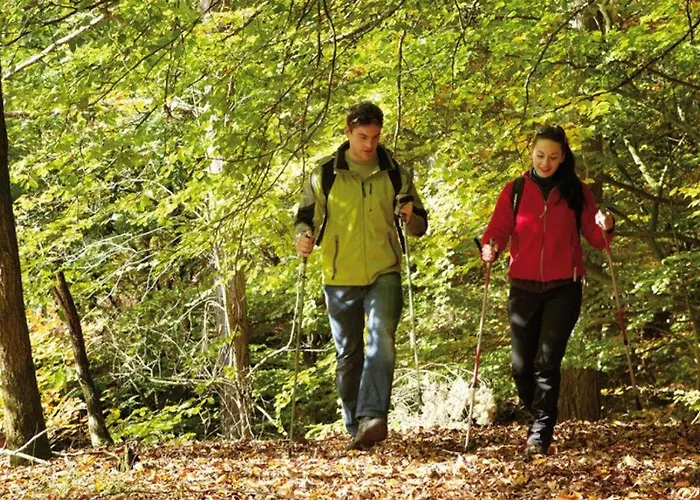 アパートホテル Meyer Appartments 3*